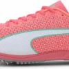 Track shoes/Spikes Puma EVOSPEED DISTANCE 8 WM
