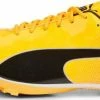 Track shoes/Spikes Puma evoSPEED Sprint 14 2 Track shoes/Spikes Puma evoSPEED Sprint 14 -Outlet Puma Store puma evospeed sprint 14 514176 37700101 480