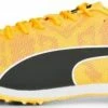Track shoes/Spikes Puma evoSPEED Star 8
