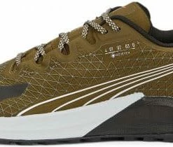 Trail shoes Puma Fast-Trac Nitro GTX